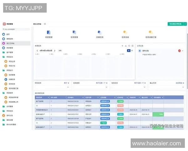 全面提升项目执行力的策划思路与实操指南