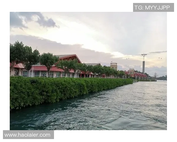 深圳极限运动队个人能力表现数据分析与提升策略探讨 深圳极限运动队个人能力表现数据分析与提升策略探讨