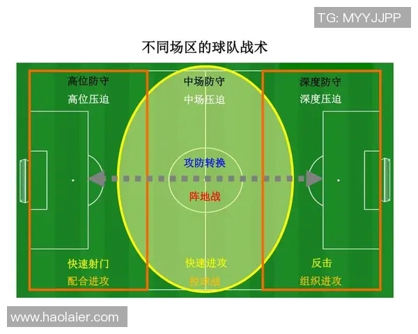 深入分析上海排球队区域防守战术的优势与应用