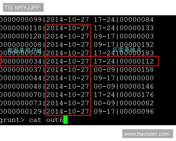 数据分析V5节奏表现探讨与优化策略研究