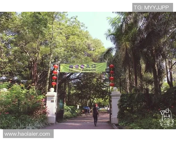 青衣运动场周边设施提升计划：打造市民健身新天地，推动社区健康发展